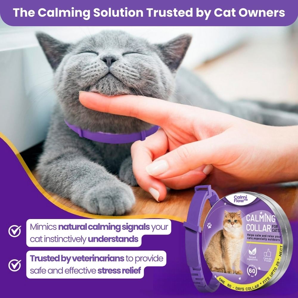 Cat's CalmiFlow™ Collar: Relieve Your Cat's Anxiety Naturally