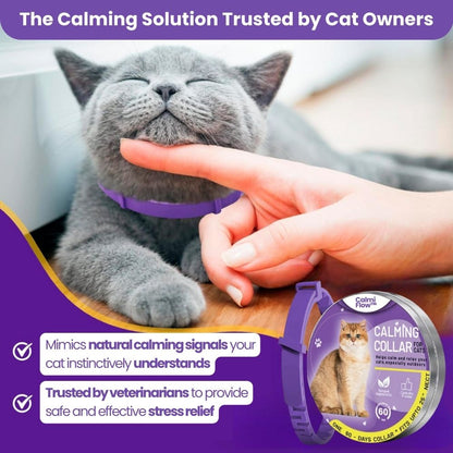 Cat's CalmiFlow™ Collar: Relieve Your Cat's Anxiety Naturally