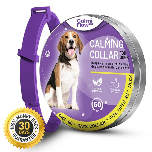 Dog's CalmiFlow™ Collar: Relieve Your Dog's Anxiety Naturally