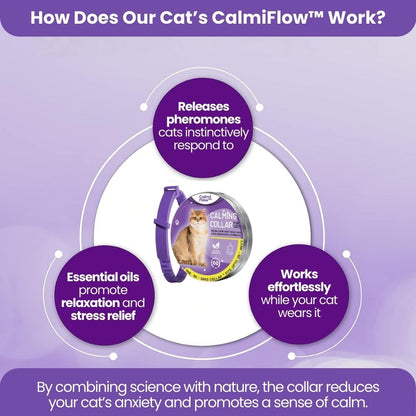 Cat's CalmiFlow™ Collar: Relieve Your Cat's Anxiety Naturally