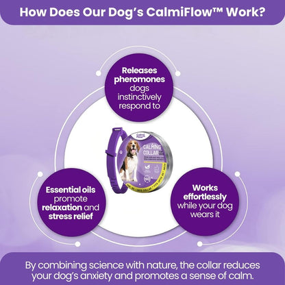 Dog's CalmiFlow™ Collar: Relieve Your Dog's Anxiety Naturally