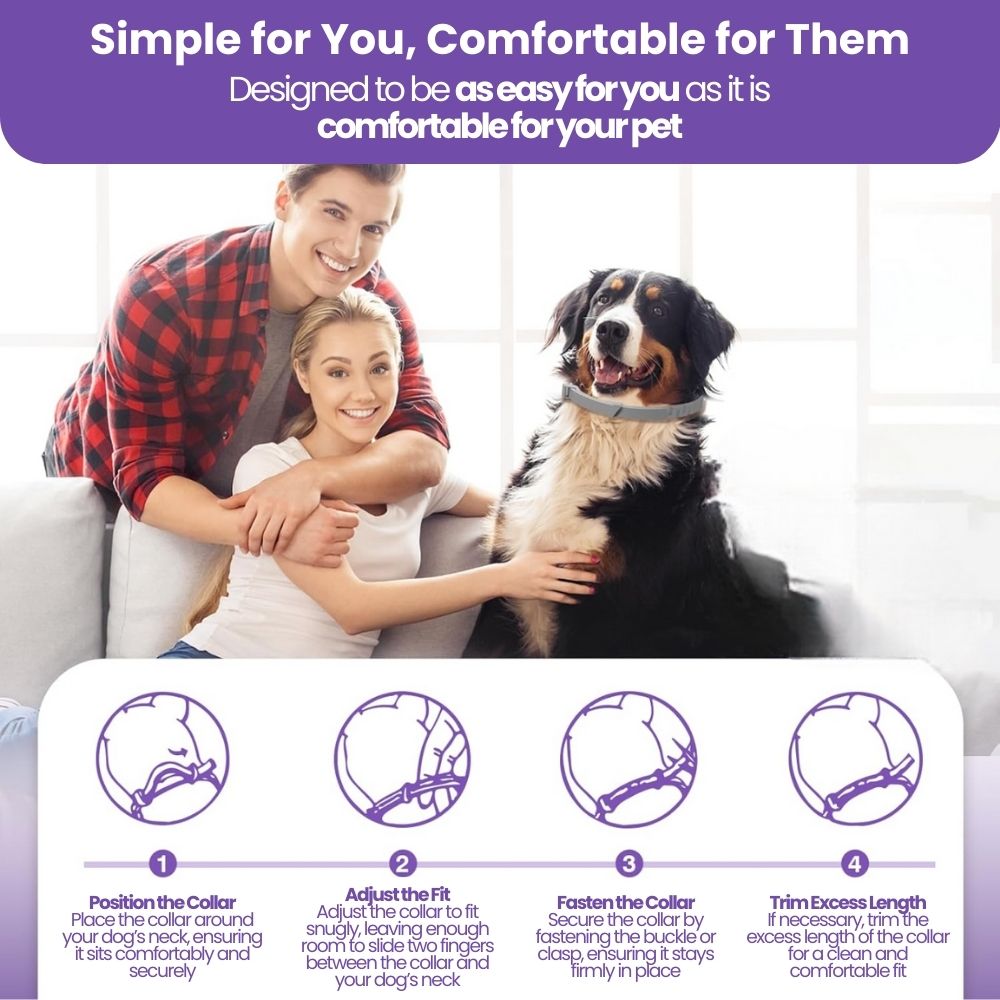 Dog's CalmiFlow™ Collar: Relieve Your Dog's Anxiety Naturally