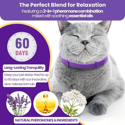 Cat's CalmiFlow™ Collar: Relieve Your Cat's Anxiety Naturally