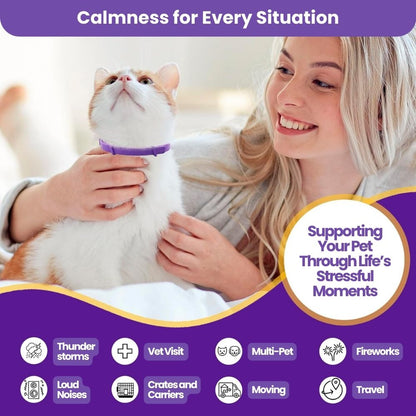 Cat's CalmiFlow™ Collar: Relieve Your Cat's Anxiety Naturally