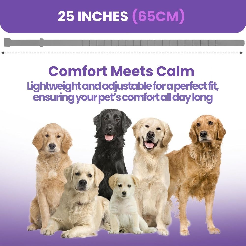 Dog's CalmiFlow™ Collar: Relieve Your Dog's Anxiety Naturally